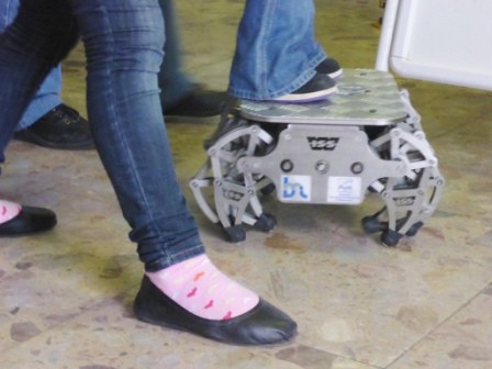 zaujal krab-samochod